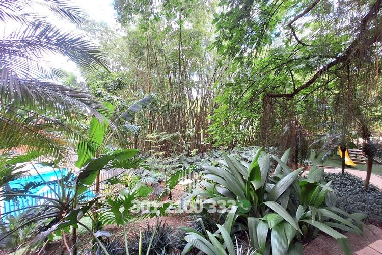 Apartamento de 1 alcoba en arriendo en Los Balsos, Medellín, 64 m² · foto 16 de 20