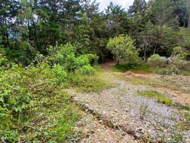 Lote en venta en San Nicolas, La Ceja, 4985 m² · foto 3 de 24