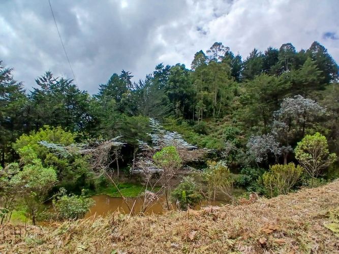 Lote en venta en San Nicolas, La Ceja, 4985 m² · foto 6 de 24