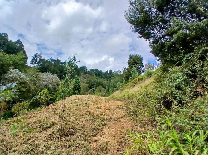 Lote en venta en San Nicolas, La Ceja, 4985 m² · foto 7 de 24