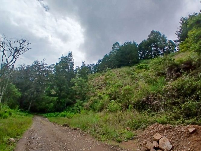 Lote en venta en San Nicolas, La Ceja, 4985 m² · foto 8 de 24