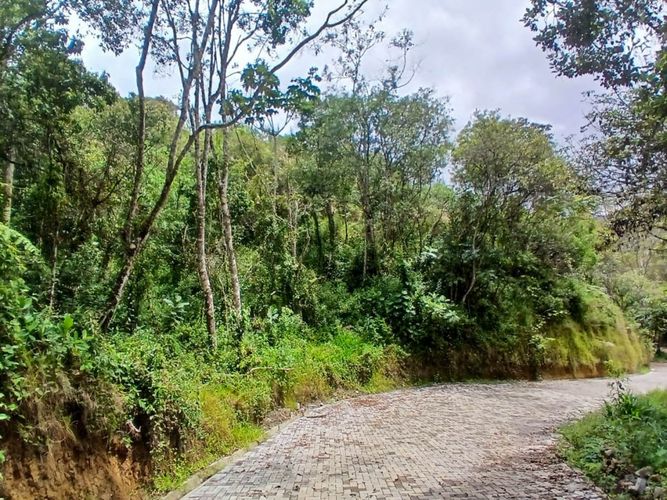 Lote en venta en San Nicolas, La Ceja, 4985 m² · foto 9 de 24