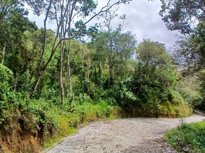 Lote en venta en San Nicolas, La Ceja, 4985 m² · foto 10 de 24