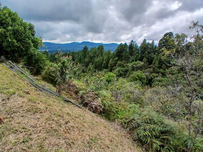 Lote en venta en San Nicolas, La Ceja, 4985 m² · foto 11 de 24