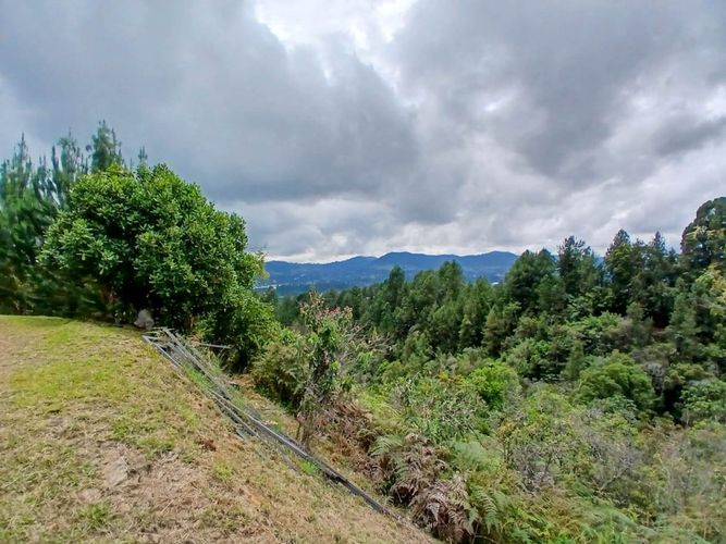 Lote en venta en San Nicolas, La Ceja, 4985 m² · foto 12 de 24