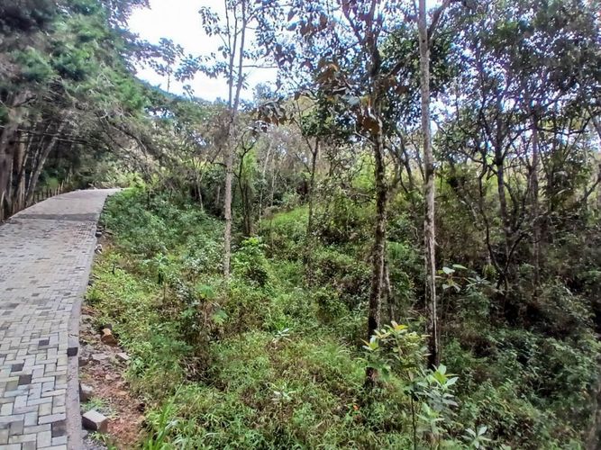 Lote en venta en San Nicolas, La Ceja, 4985 m² · foto 18 de 24