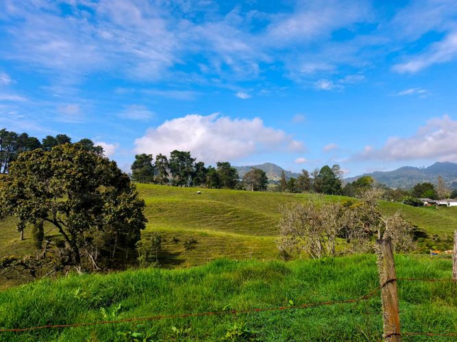 Lote en venta en El Capiro, Rionegro, 44000 m² · foto 2 de 12