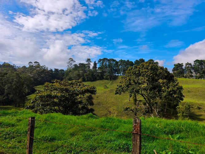 Lote en venta en El Capiro, Rionegro, 44000 m² · foto 3 de 12