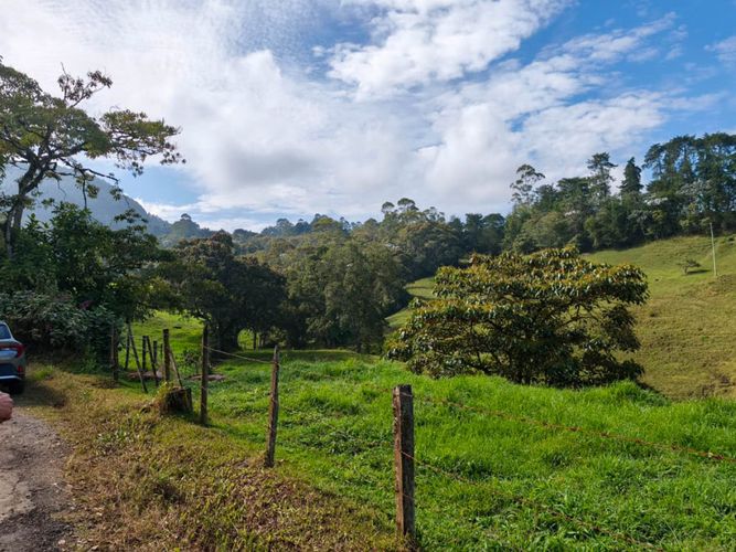 Lote en venta en El Capiro, Rionegro, 44000 m² · foto 4 de 12