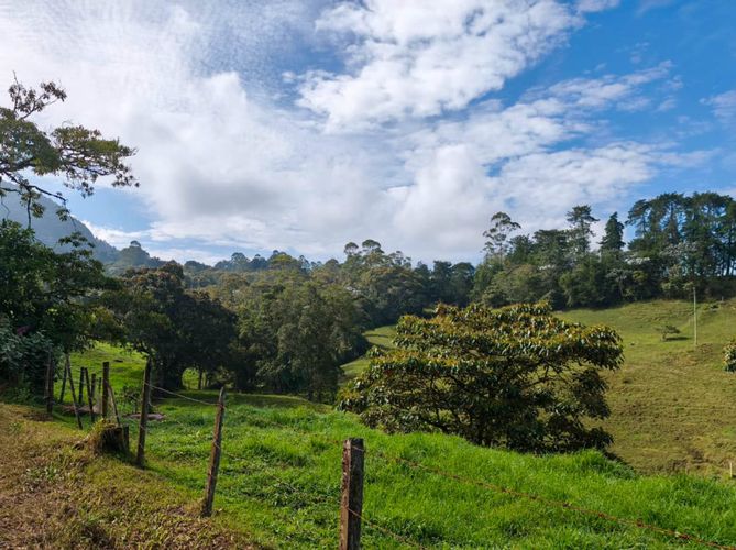 Lote en venta en El Capiro, Rionegro, 44000 m² · foto 5 de 12