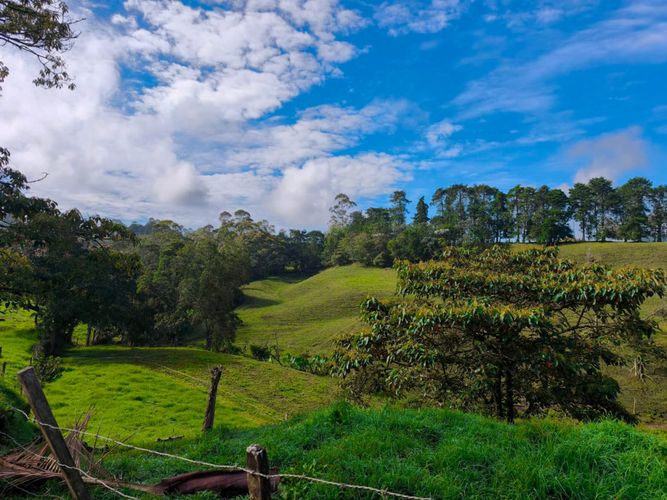 Lote en venta en El Capiro, Rionegro, 44000 m² · foto 6 de 12