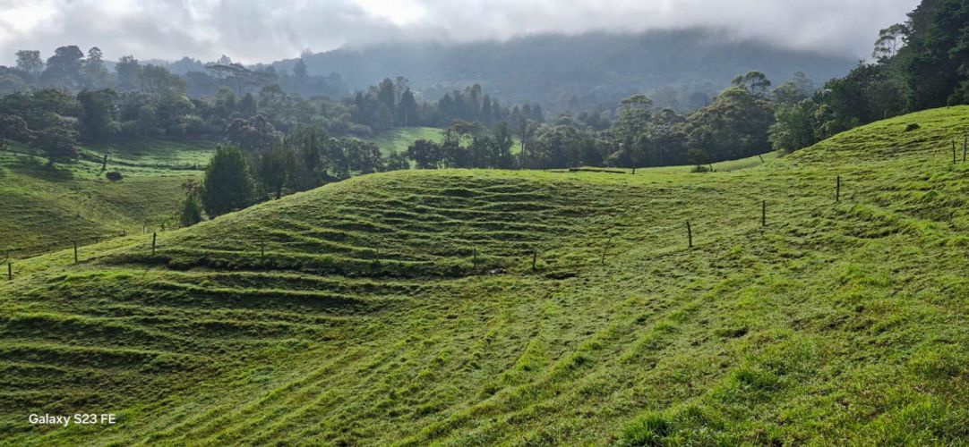 Lote en venta en El Capiro, Rionegro, 44000 m² · foto 7 de 12