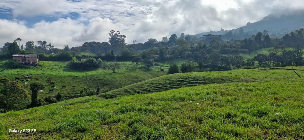 Lote en venta en El Capiro, Rionegro, 44000 m² · foto 8 de 12