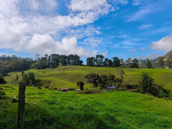 Lote en venta en El Capiro, Rionegro, 44000 m² · foto 9 de 12