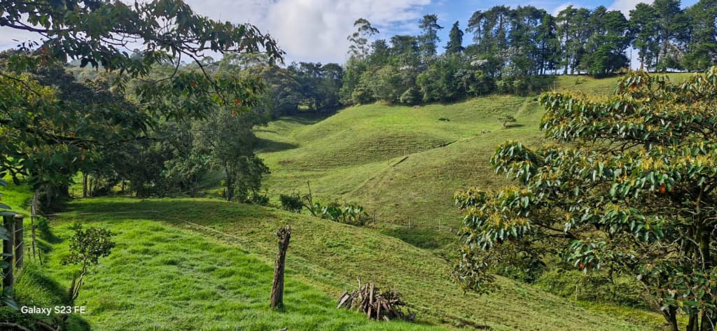 Lote en venta en El Capiro, Rionegro, 44000 m² · foto 10 de 12