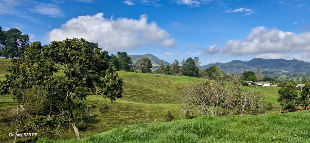 Lote en venta en El Capiro, Rionegro, 44000 m² · foto 11 de 12