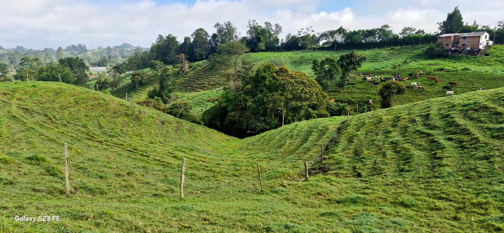 Lote en venta en El Capiro, Rionegro, 44000 m² · foto 12 de 12