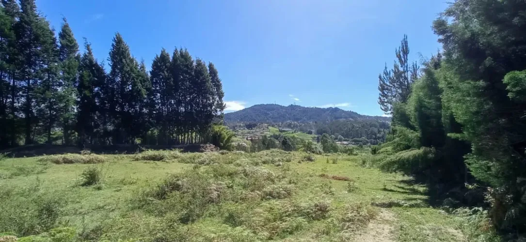 Finca en venta en Hojas Anchas, Guarne, 130 m² · foto 3 de 24