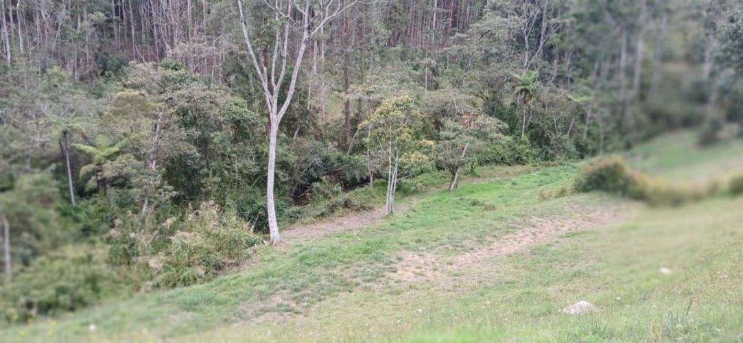 Lote en venta en Pantanillo, El Retiro, 2850 m² · foto 4 de 16