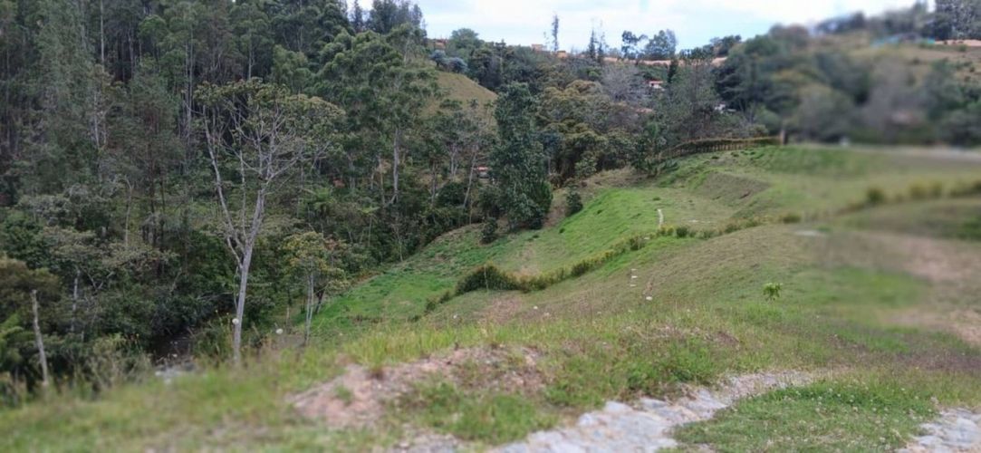Lote en venta en Pantanillo, El Retiro, 2850 m² · foto 5 de 16