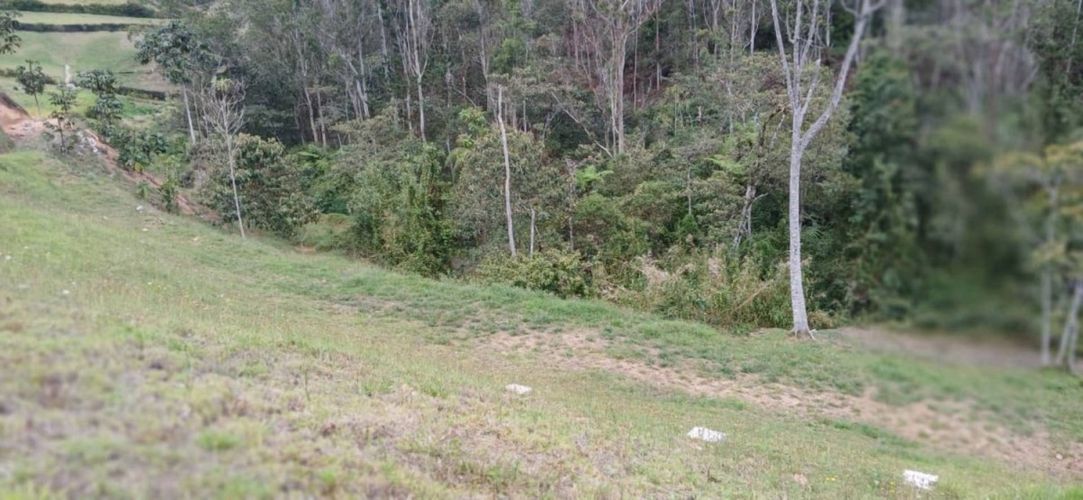Lote en venta en Pantanillo, El Retiro, 2850 m² · foto 7 de 16