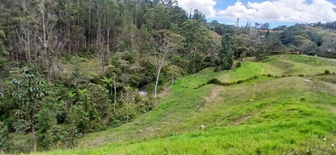 Lote en venta en Pantanillo, El Retiro, 2850 m² · foto 15 de 16