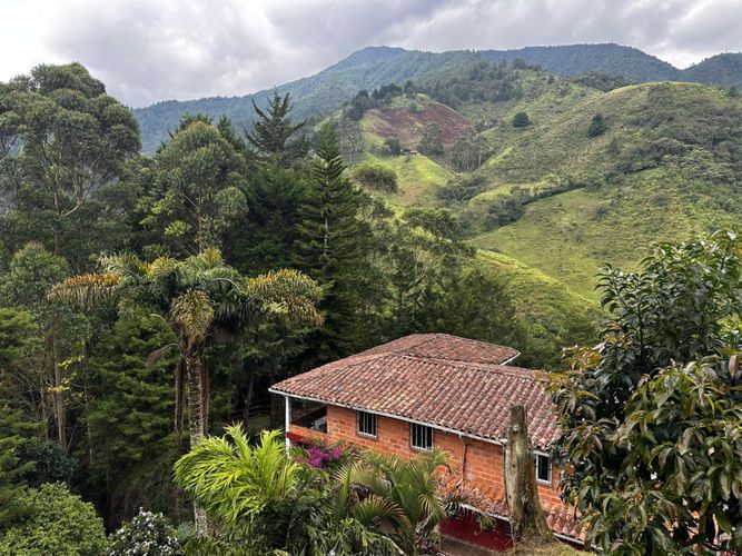 Finca en venta en Las Palmas, Envigado, 251 m² · foto 3 de 19