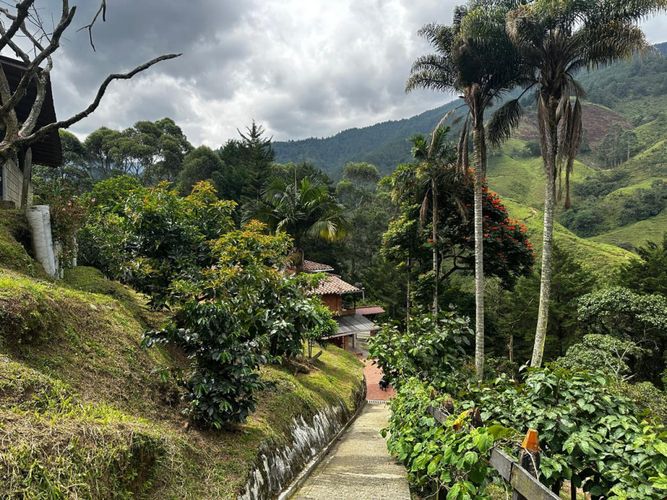 Finca en venta en Las Palmas, Envigado, 251 m² · foto 16 de 19