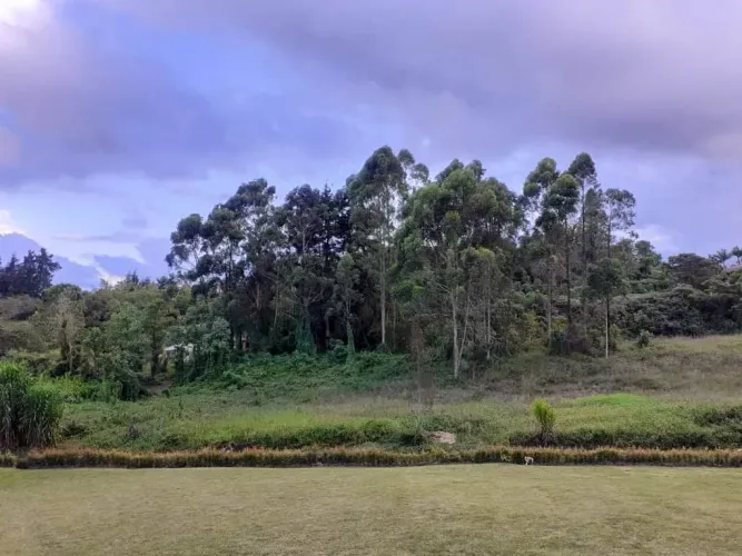 Finca en arriendo en Sajonia, Rionegro, 220 m² · foto 4 de 17