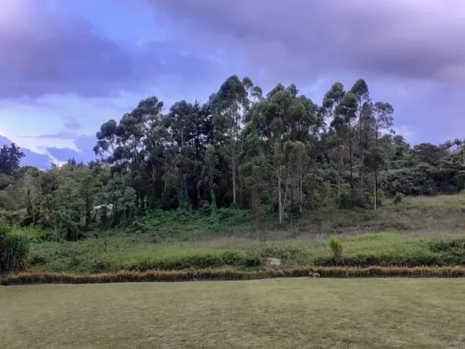 Finca en arriendo en Sajonia, Rionegro, 220 m² · foto 17 de 17