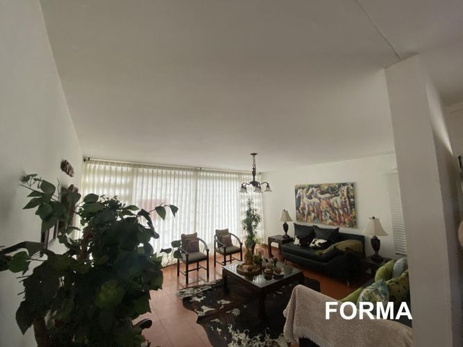 Casa de 4 alcobas en arriendo en Cadiz, Ibagué, 395 m² · foto 22 de 24