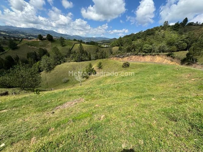 Lote en venta en Amapola, El Retiro · foto 4 de 6