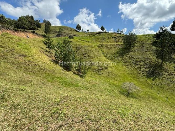 Lote en venta en Amapola, El Retiro · foto 5 de 6
