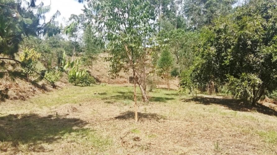 Lote en venta en Centro, Rionegro · foto 2 de 8