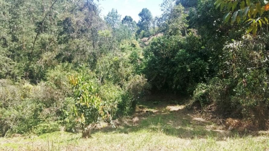 Lote en venta en Centro, Rionegro · foto 3 de 8