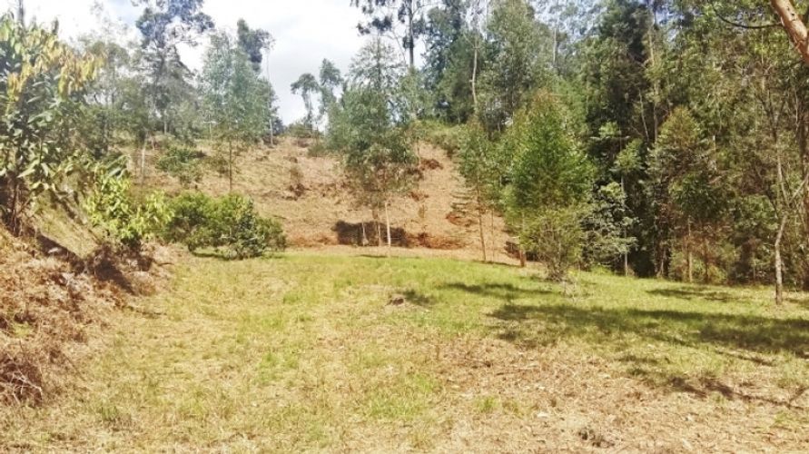 Lote en venta en Centro, Rionegro · foto 4 de 8