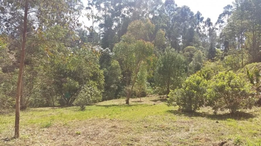 Lote en venta en Centro, Rionegro · foto 5 de 8