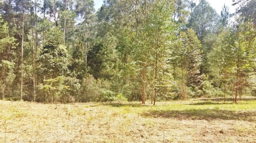 Lote en venta en Centro, Rionegro · foto 6 de 8