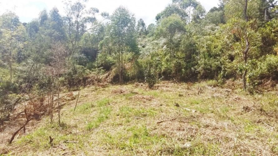 Lote en venta en Centro, Rionegro · foto 7 de 8