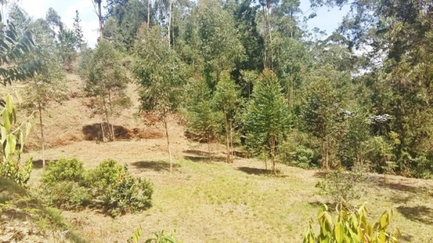 Lote en venta en Centro, Rionegro · foto 8 de 8