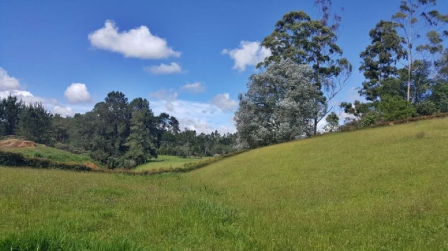 Lote en venta en El Carmen De Viboral, El Carmen de Viboral · foto 3 de 4