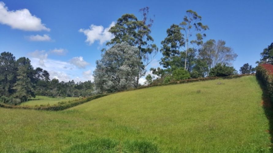 Lote en venta en El Carmen De Viboral, El Carmen de Viboral · foto 4 de 4