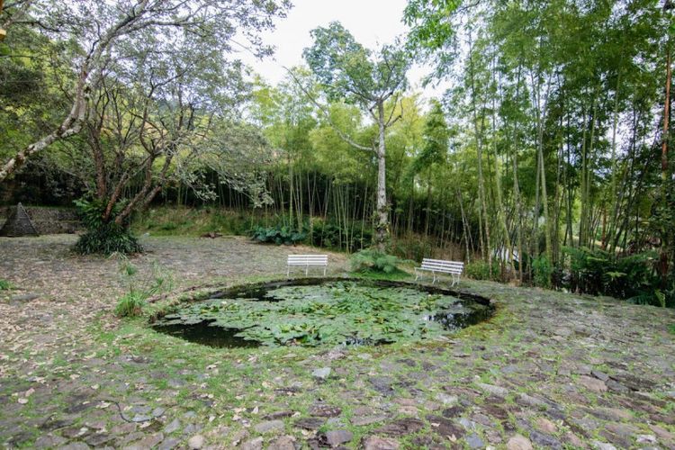 Casa de 5 alcobas en venta en El Poblado, Medellín, 600 m² · foto 2 de 24