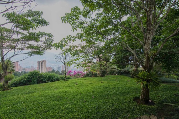 Casa de 5 alcobas en venta en El Poblado, Medellín, 600 m² · foto 14 de 24