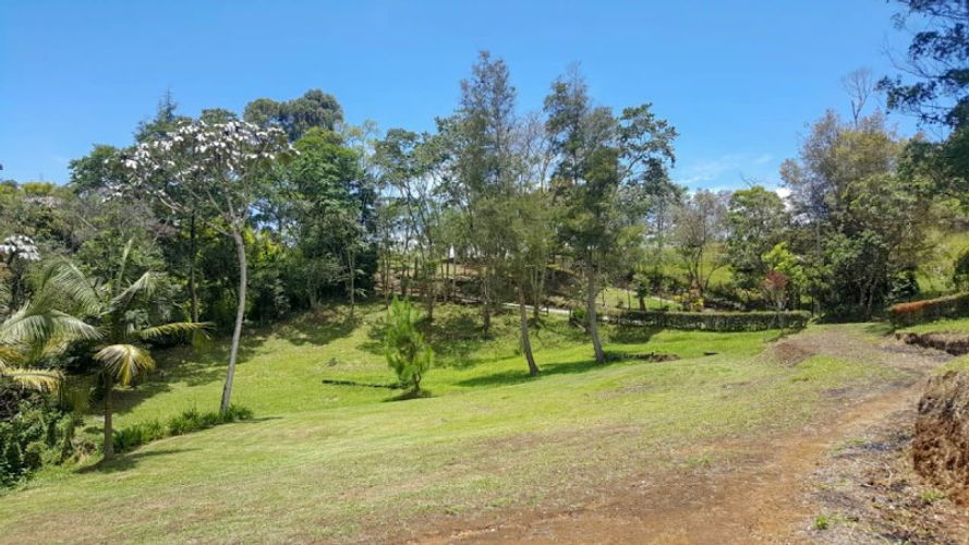 Lote en venta en El Carmen De Viboral, El Carmen de Viboral · foto 2 de 5