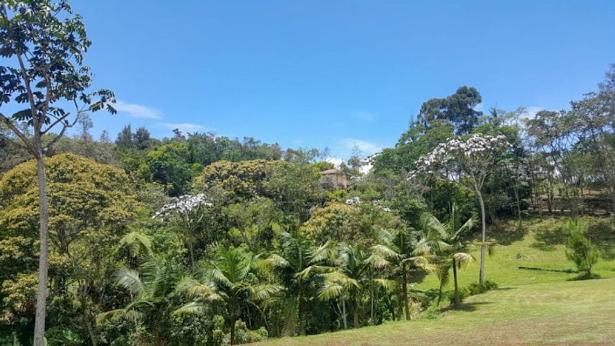 Lote en venta en El Carmen De Viboral, El Carmen de Viboral · foto 5 de 5