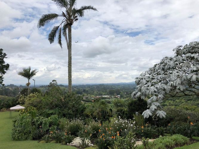 Finca en venta en Centro, Rionegro, 11000 m² · foto 12 de 19