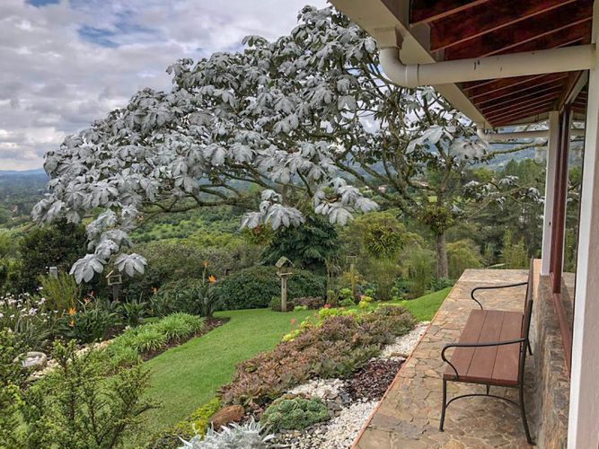 Finca en venta en Centro, Rionegro, 11000 m² · foto 13 de 19