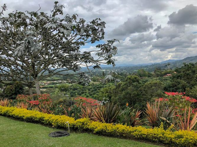 Finca en venta en Centro, Rionegro, 11000 m² · foto 18 de 19