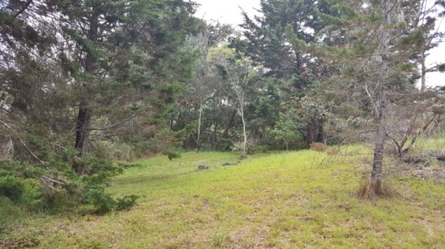 Lote en venta en Los Colegios, Rionegro · foto 3 de 12